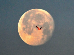 A Lua está se afastando da Terra, mas muito lentamente