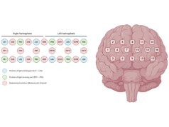 Dispositivos fNIRS mostram efeitos promissores de aprimoramento cognitivo