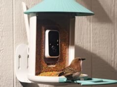O alimentador inteligente movido a energia solar da Birdfy foi reduzido ao preço mais alto