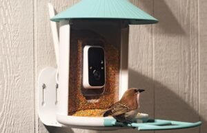O alimentador inteligente movido a energia solar da Birdfy foi reduzido ao preço mais alto