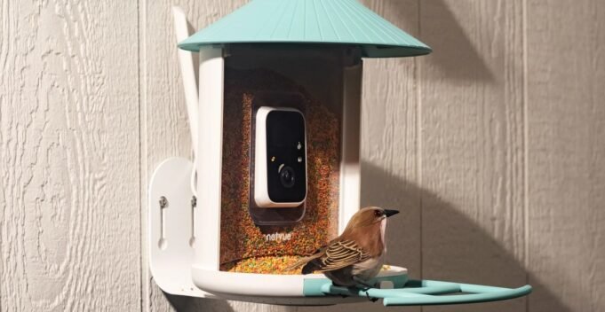 O alimentador inteligente movido a energia solar da Birdfy foi reduzido ao preço mais alto O alimentador inteligente movido a energia solar da Birdfy foi reduzido ao preço mais alto