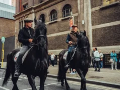 Pierce O’Leary se inspira em cavalos e em Steve Collins.