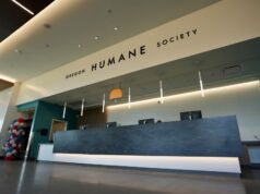 Oregon Humane Society pretende arrecadar US$ 130.000 com concurso de fotografia de rótulos de cerveja.