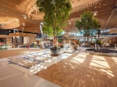 Funcionários do PDX agem para salvar as plantas internas do aeroporto.