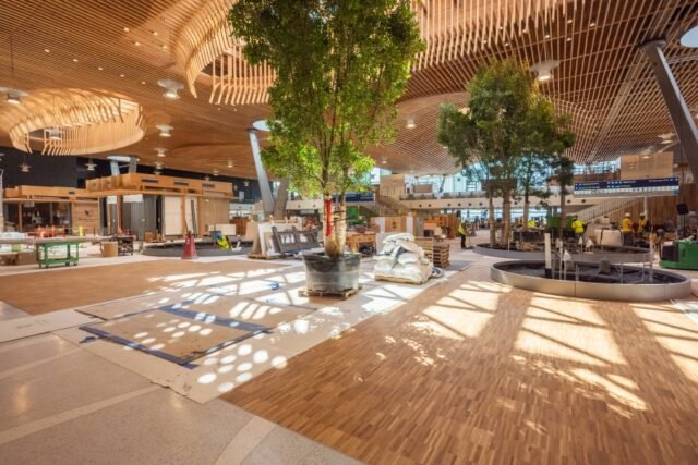 PDX-tree-install.jpg