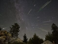 A chuva de meteoros Perseidas começa esta semana. Veja por que você deveria assistir agora
