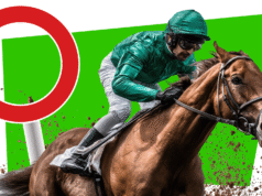 Economize dinheiro no Royal Ascot mais pacotes VIP para Goodwood e York Ebor com um desconto exclusivo de £ 20