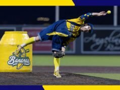 Como conseguir ingressos com desconto do Savannah Bananas para o Wrigley Field