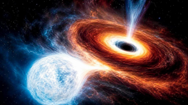 Stellar-1783614659397_d.png