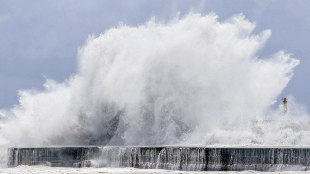 Typhoon-Bavi-1783732531195_d.png