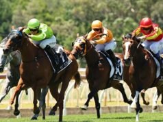 Perspectiva de gênero e conselhos para Wyong quinta-feira