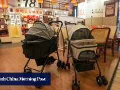 Os restaurantes de Hong Kong gastam para receber clientes peludos sob um esquema que aceita animais de estimação.