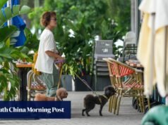 Brunch com suas batatas fritas bichon? Alguns donos de cães dizem que os animais de estimação começam a se tornar violentos.