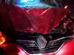 Um caminhão colidiu com um cavalo solto na rua Esteghlal e sofreu danos materiais significativos