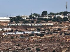 UE apela a Israel para acabar com a expansão dos colonatos enquanto os colonos atacam crianças | Ocupar Notícias da Cisjordânia