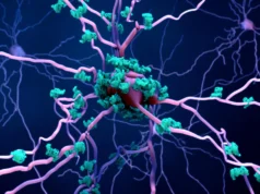 Cientistas podem ter finalmente descoberto como o Alzheimer mata células cerebrais