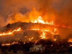 Os incêndios na Europa revelam a mistura perigosa que alimenta a crise dos incêndios florestais deste verão