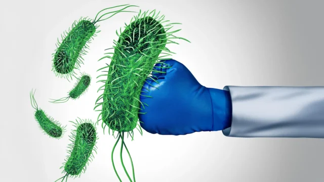 antibiotic-resistance-fighting-bacteria.webp.webp