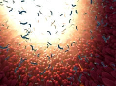Cientistas testaram 39 adoçantes e encontraram um efeito inesperado no intestino