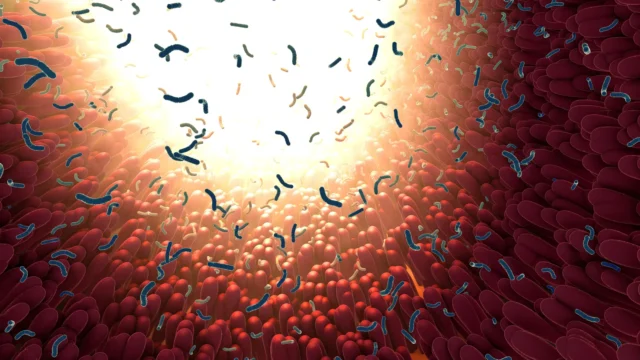 bacteria-intestinal-microbiome-in-digestive-tract.webp.webp