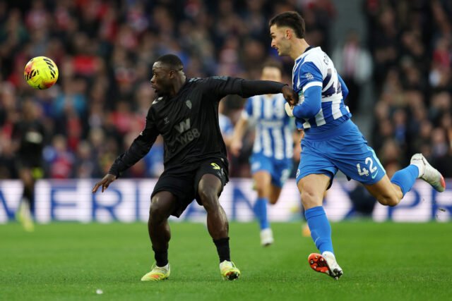 brighton-and-hove-albion-v-sunderland-premier-league-1.jpg