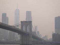 Trump acusa Canadá de não conseguir gerir florestas devido a incêndios florestais