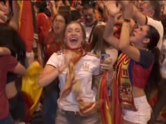 ‘Demos tudo’: torcedores reagem à final da Copa do Mundo