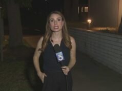 ‘Eu sabia que dependia de mim’: o vídeo mostra o poder do repórter sobre a reportagem ao vivo enquanto a barata rasteja em sua direção