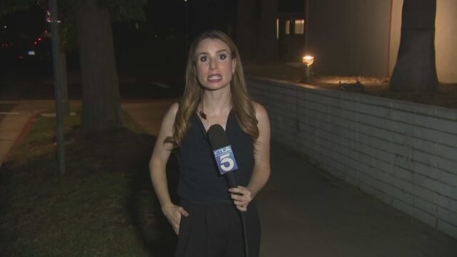 cockroach-rachel-1-e1784147046481.jpg