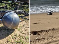 Misteriosas bolas de metal em uma praia australiana podem ser lixo que caiu do espaço: especialistas