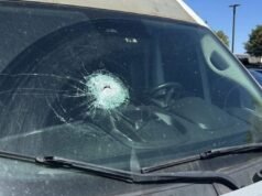 ‘Milagre’: Motorista grávida de gêmeos sobrevive Levou um tiro em um poste e atravessou o para-brisa do carro. bateu no estômago