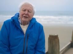 Marco: David Attenborough