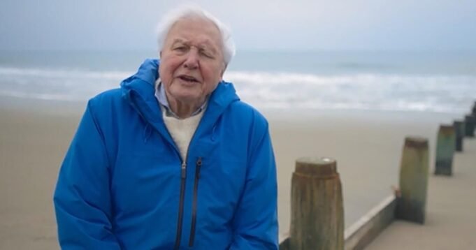 Marco: David Attenborough