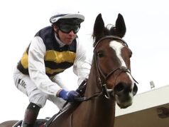 McEvoy espera que a demissão tenha retorno na Grafton Cup