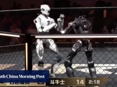 Robot Wars: luta de MMA entre humanóides deixa 1 sem cabeça e fãs atordoados