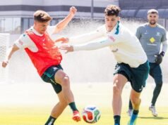 O australiano Devlin se aposentará do Heart após um período de cinco anos