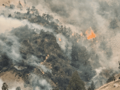 O incêndio no Complexo Rowe Creek continua a crescer à medida que as equipes trabalham para proteger a estrutura.