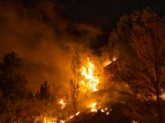 Espanha, um enorme incêndio florestal na Bética: 11 mortos – Notícias