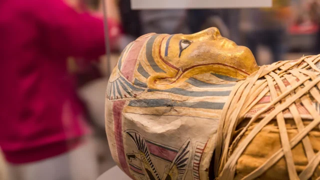 egyptian-mummy-head.webp.webp