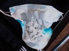 Eles encontram cocaína, maconha e comprimidos na alcaida feminina e investigam possível marketing interno.
