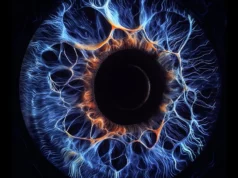 Cientistas de Yale encontraram uma rede escondida dentro do olho