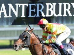 Dicas e insights sobre a corrida de Canterbury de quarta-feira