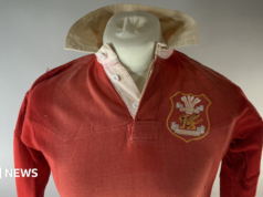 Uma vitória sobre os All Blacks fará com que a camisa de rugby do Llanelli Scarlets seja leiloada.