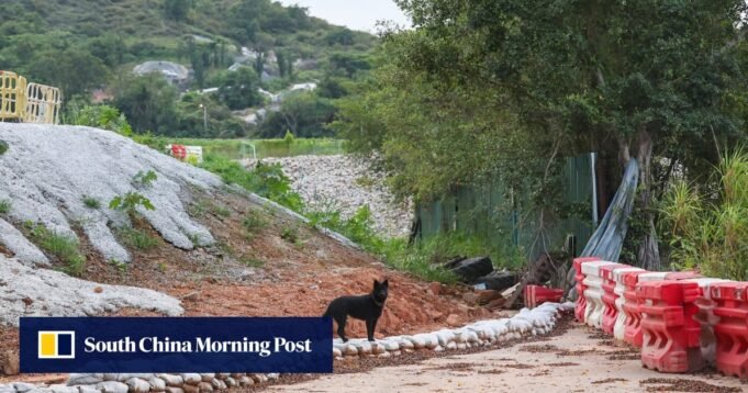 Um aumento no número de animais abandonados em meio ao desmatamento para o desenvolvimento da metrópole do norte Um aumento no número de animais abandonados em meio ao desmatamento para o desenvolvimento da metrópole do norte