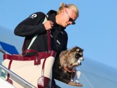 Por que uma estrela norueguesa se tornou viral depois de comprar um guaxinim de US$ 750 em Dallas
