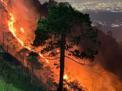 Incêndios florestais em Ontário pioram a qualidade do ar e forçam a suspensão dos trilhos nas áreas afetadas