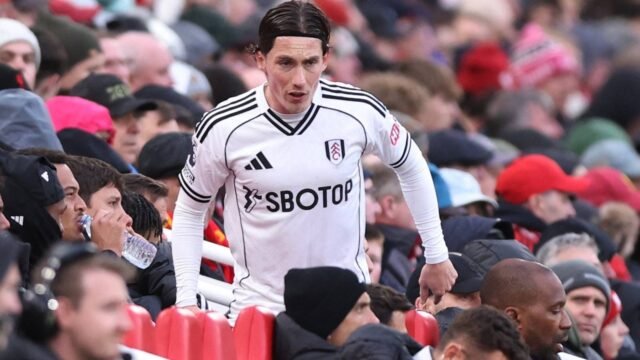 fulham-s-harry-wilson-reacts-on-the-bench-after-he-is-substituted.JPG