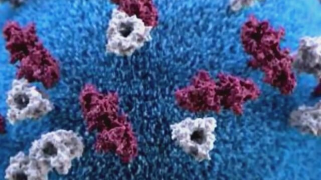 generic-measles-06172024-cdc.jpg