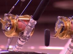 A Pacific Power e o Departamento de Pesca e Vida Selvagem de Washington organizam o 26º Dia Anual do Merwin.