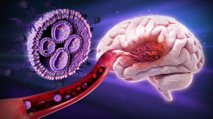 Esta terapia com açúcar aumentou a sobrevivência de ratos contra o câncer cerebral mortal em 50%.